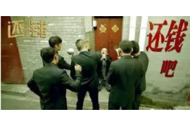 洪雅为什么选择专业追讨公司来处理您的债务纠纷？