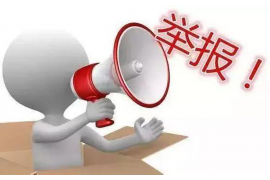 洪雅洪雅的要账公司在催收过程中的策略和技巧有哪些？