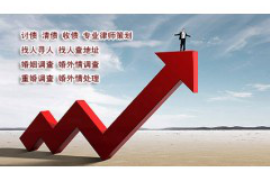 洪雅专业讨债公司有哪些核心服务？